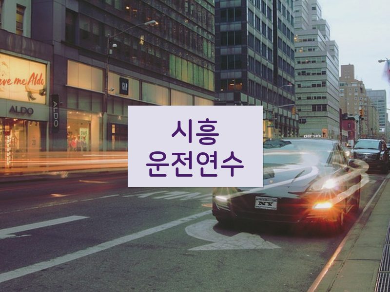 시흥운전연수 후기