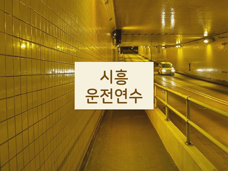 시흥운전연수 후기