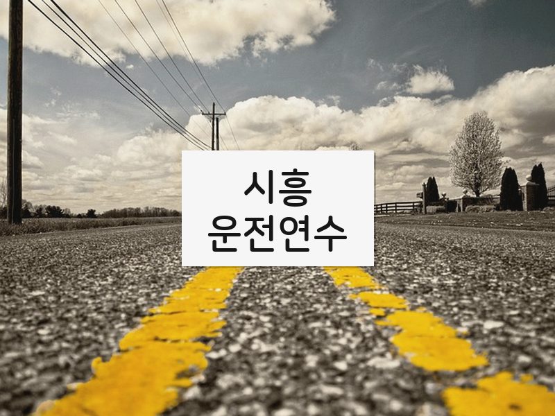시흥운전연수 후기