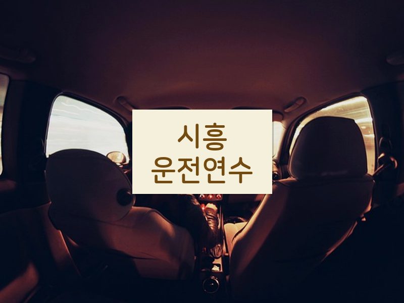 시흥운전연수 후기