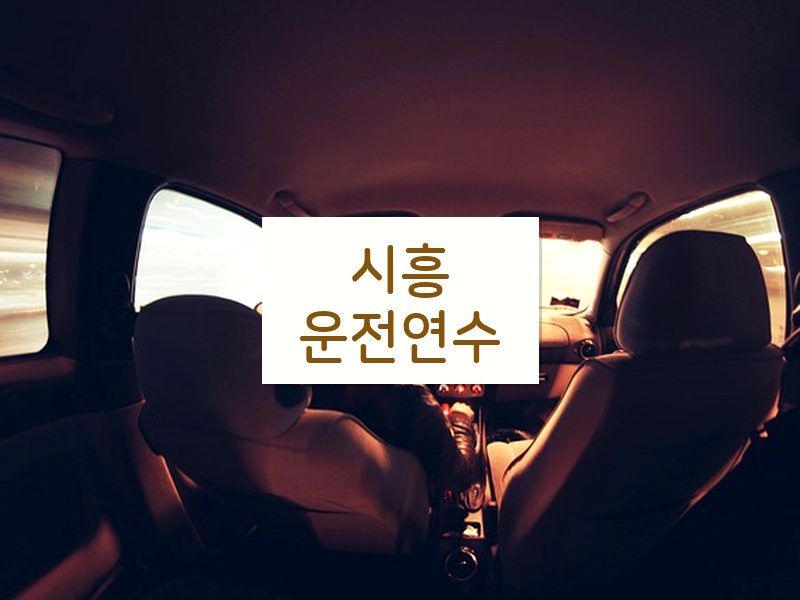 시흥운전연수 후기