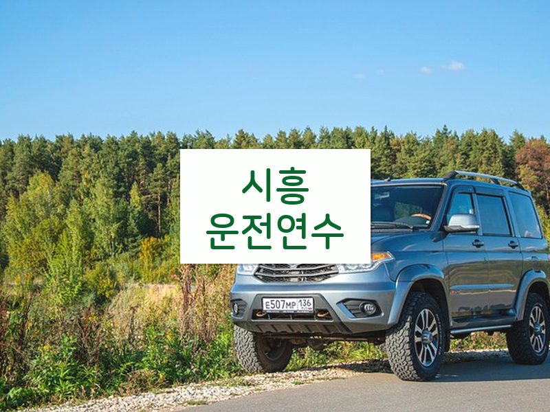 시흥운전연수 후기