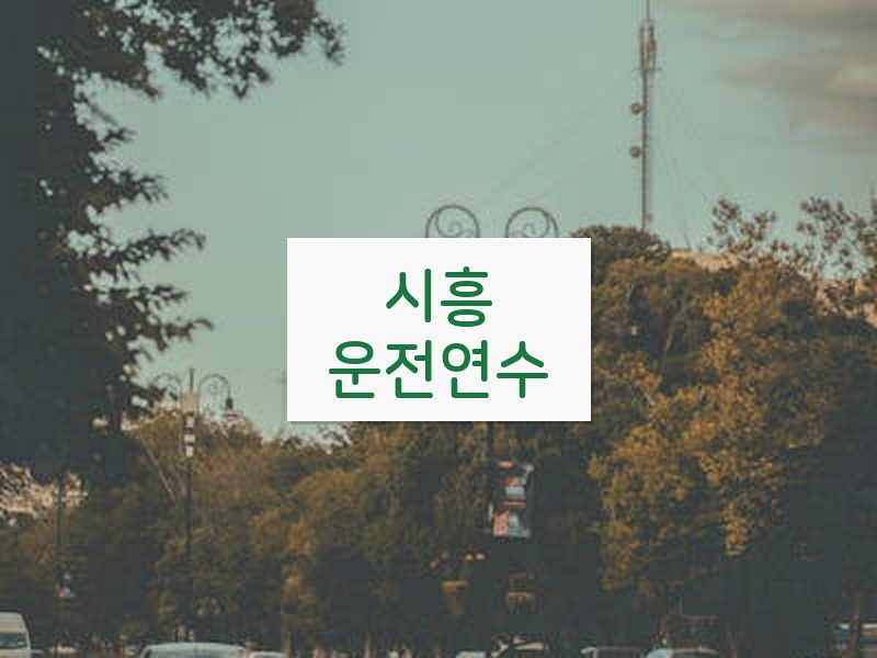시흥운전연수 후기