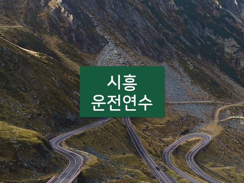 시흥운전연수 후기