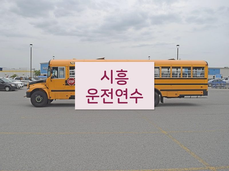 시흥운전연수 후기