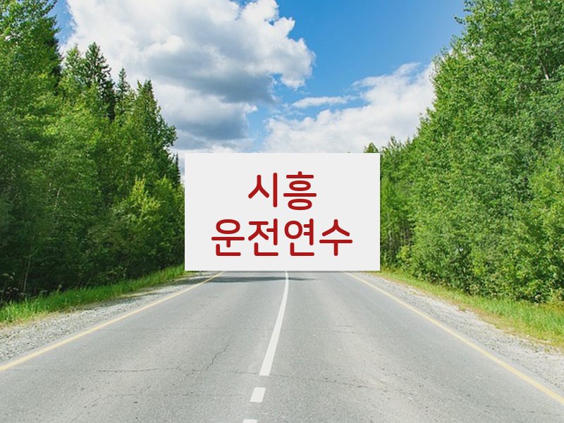 시흥운전연수 후기