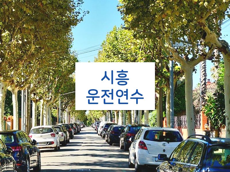 시흥운전연수 후기