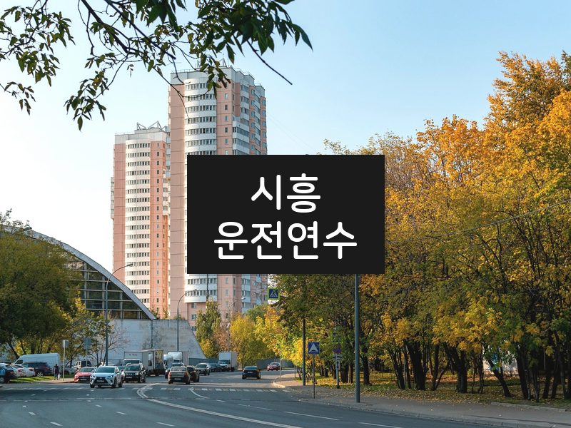 시흥운전연수 후기