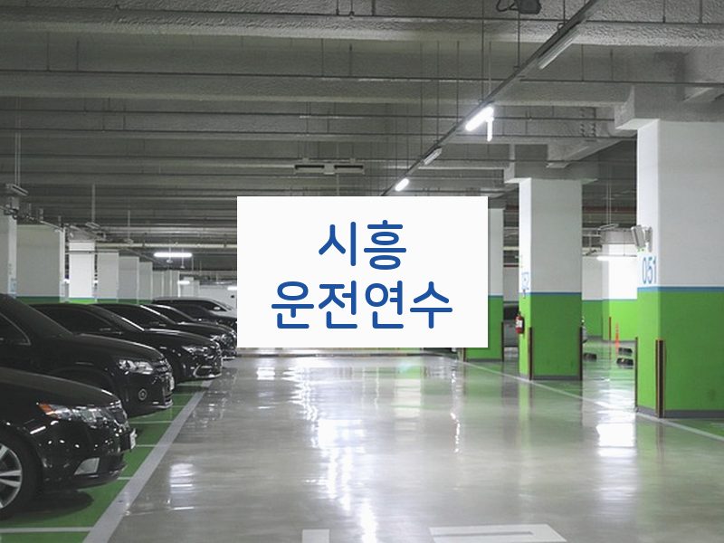 시흥운전연수 후기