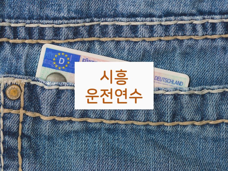 시흥운전연수 후기
