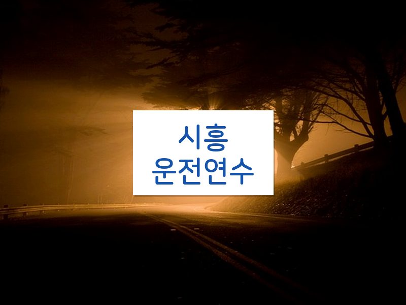 시흥운전연수 후기