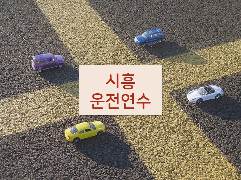 시흥운전연수 후기