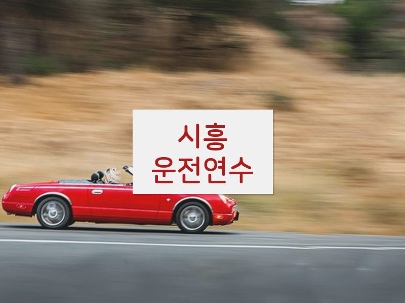 시흥운전연수 후기