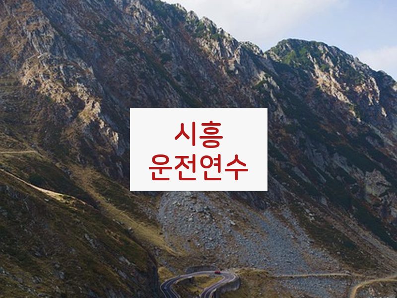 시흥운전연수 후기