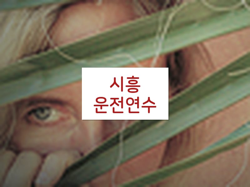 시흥운전연수 후기