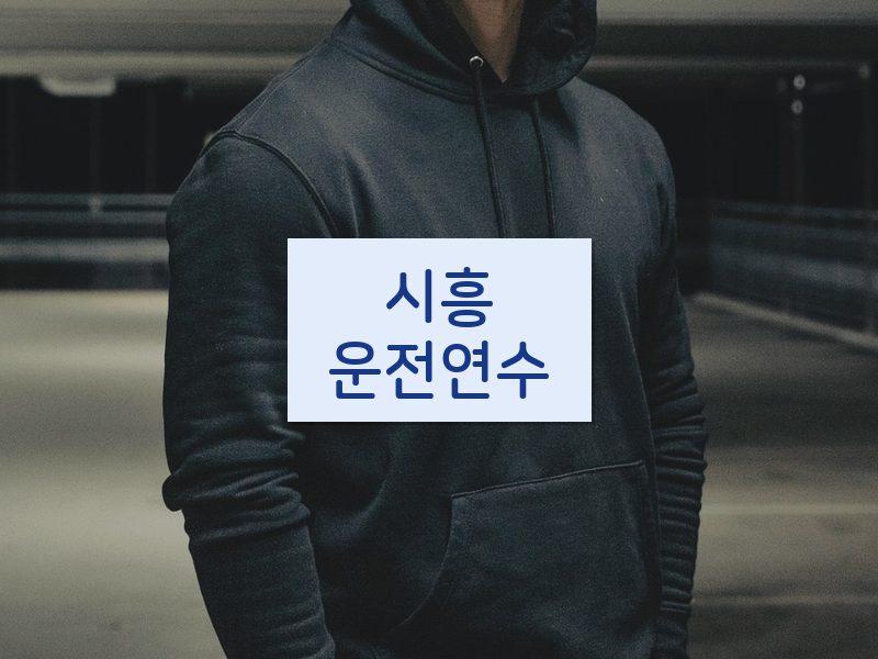 시흥운전연수 후기