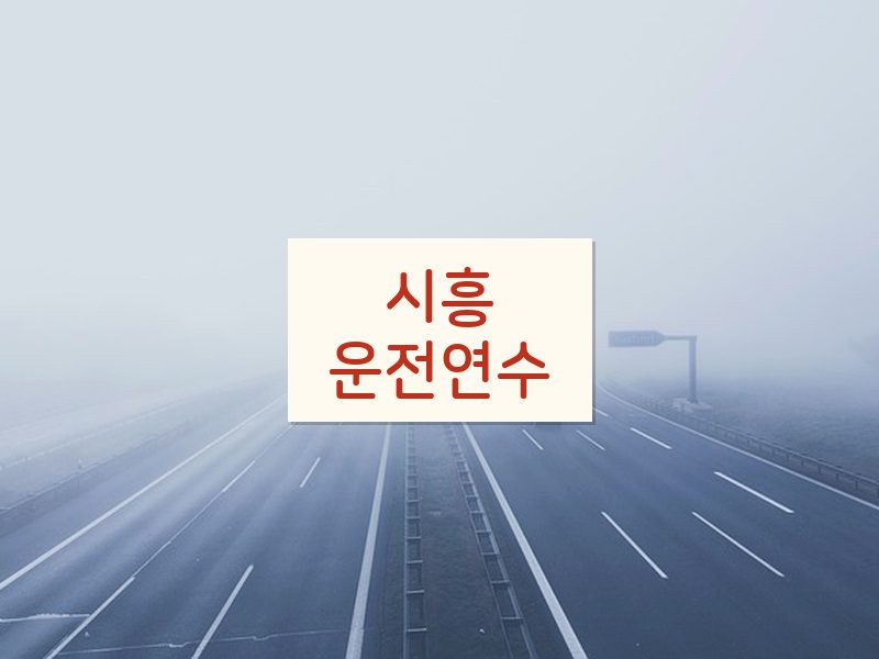 시흥운전연수 후기